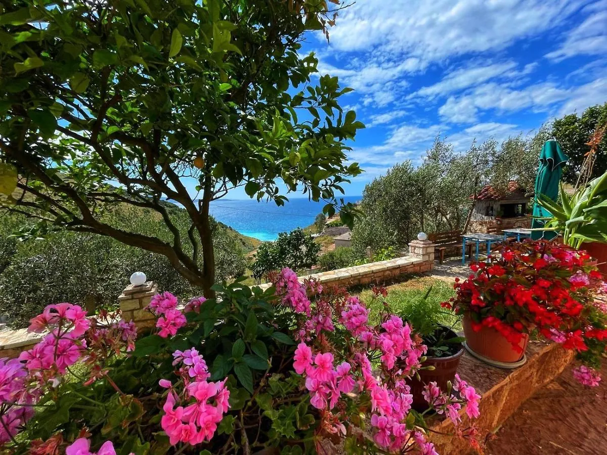 Vila Paza Sarandë
