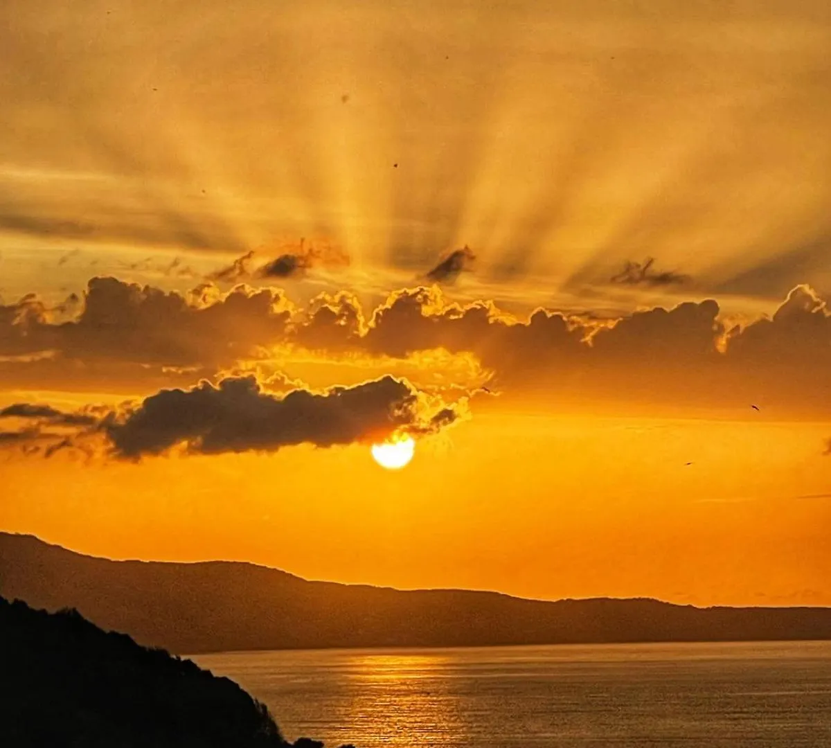 Vila Paza Sarandë 0*,