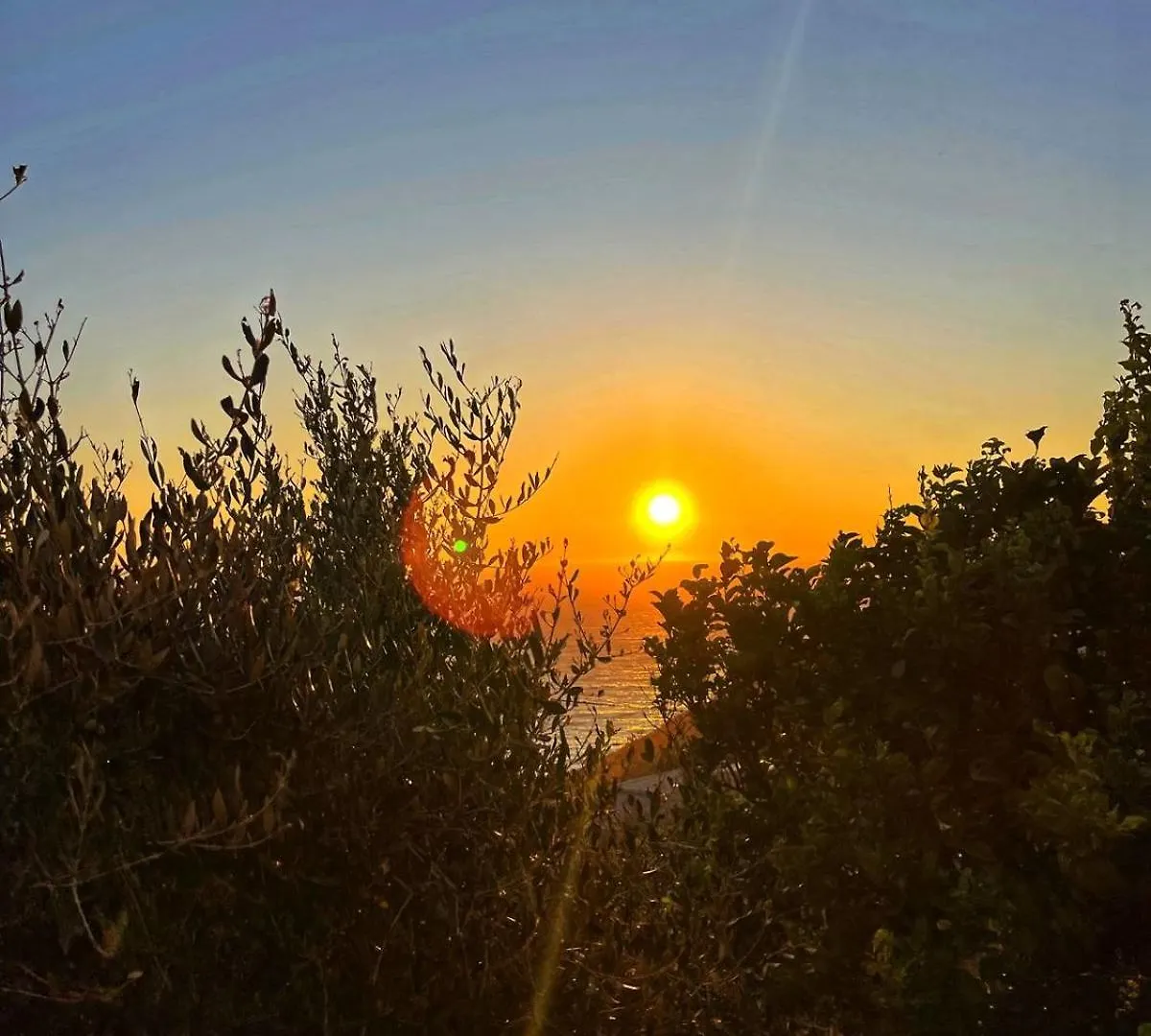 סרנדה Vila Paza אלבניה