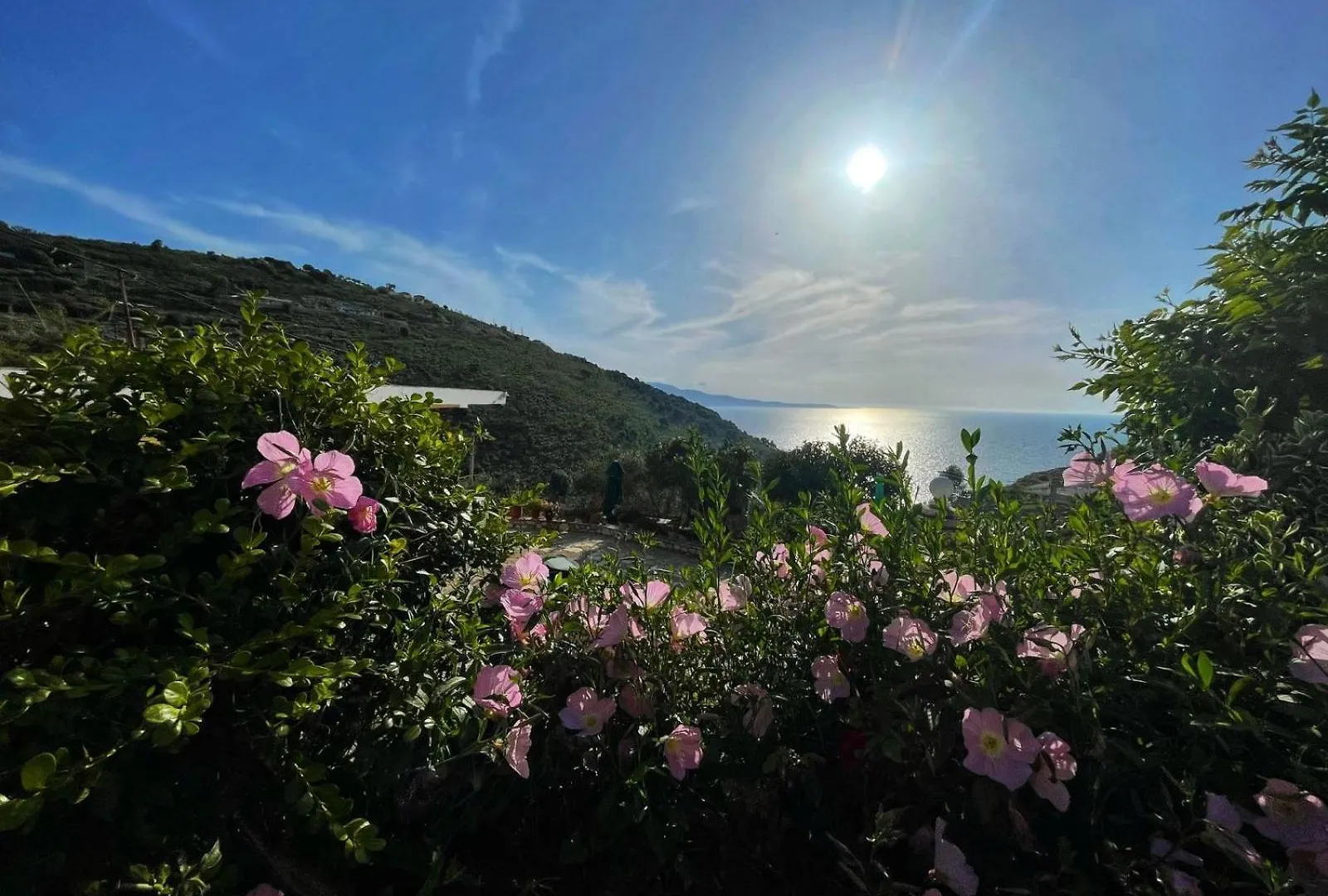 Vila Paza Sarandë 아파트
